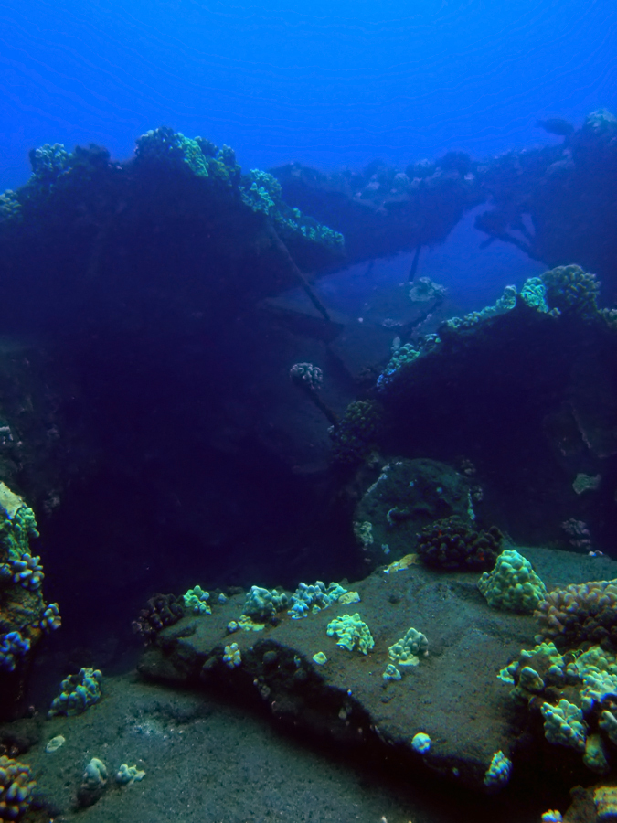 mala_wharf_underwater_01