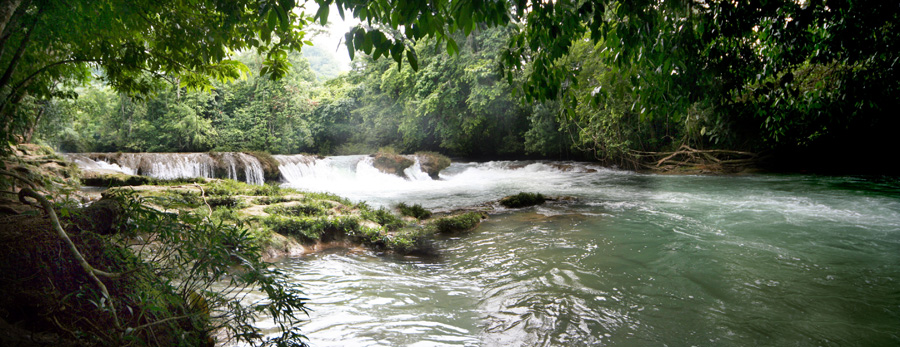 Agua_azul_river_merges