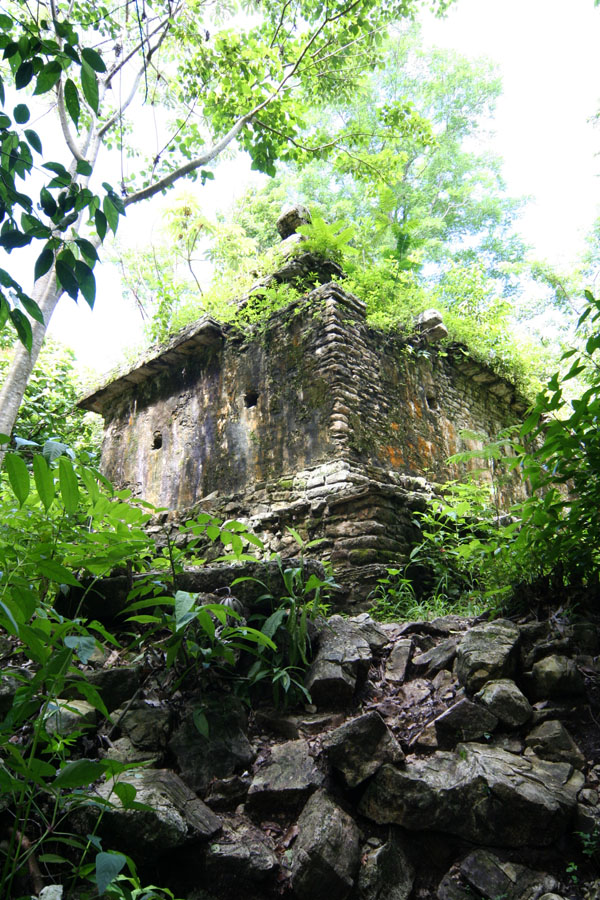 Palenque Olivado 01